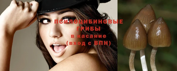 МДПВ Алексин