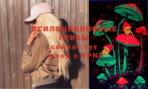 МДПВ Алексин