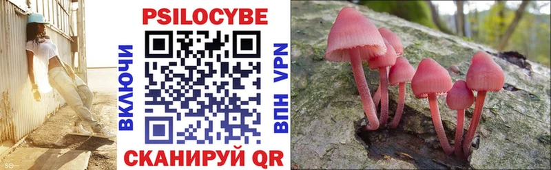 Галлюциногенные грибы мухоморы  мега ССЫЛКА  Ярославль  купить закладку 
